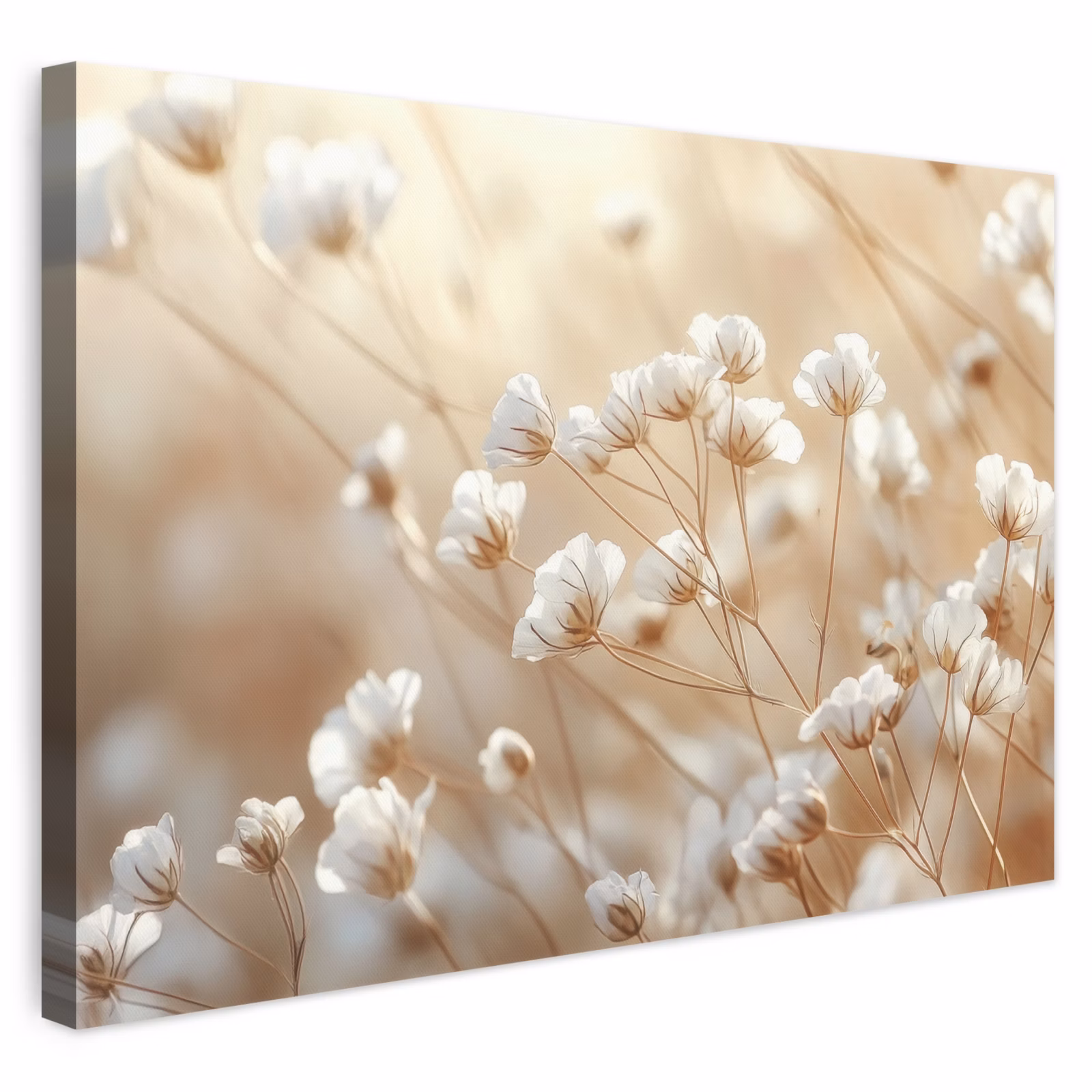 Canvas schilderij - Witte Bloemen Beige — 1