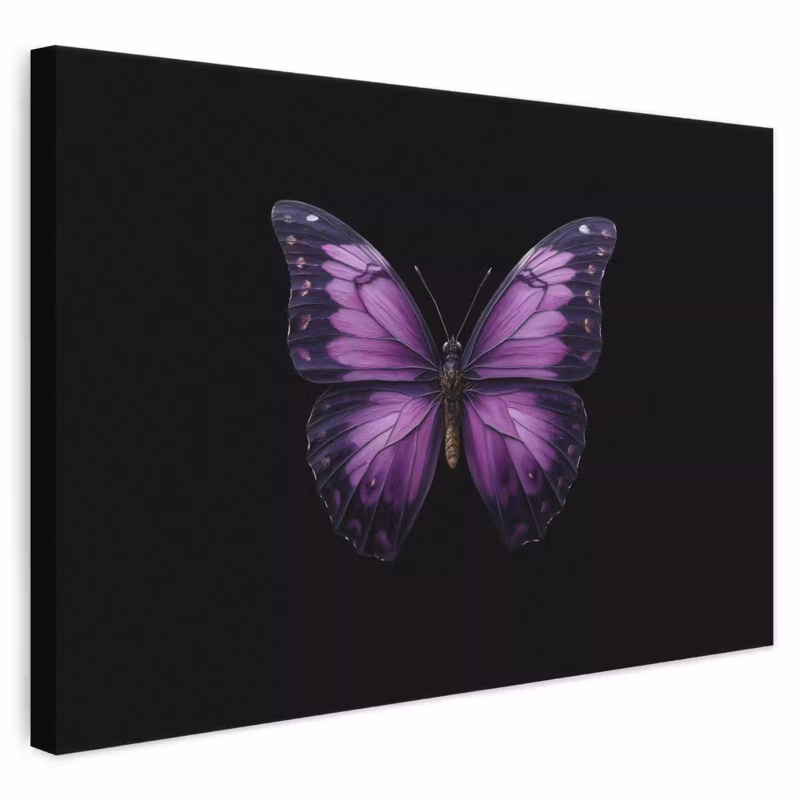 Canvas schilderij - Vlinder - Paars - Levendig — 1