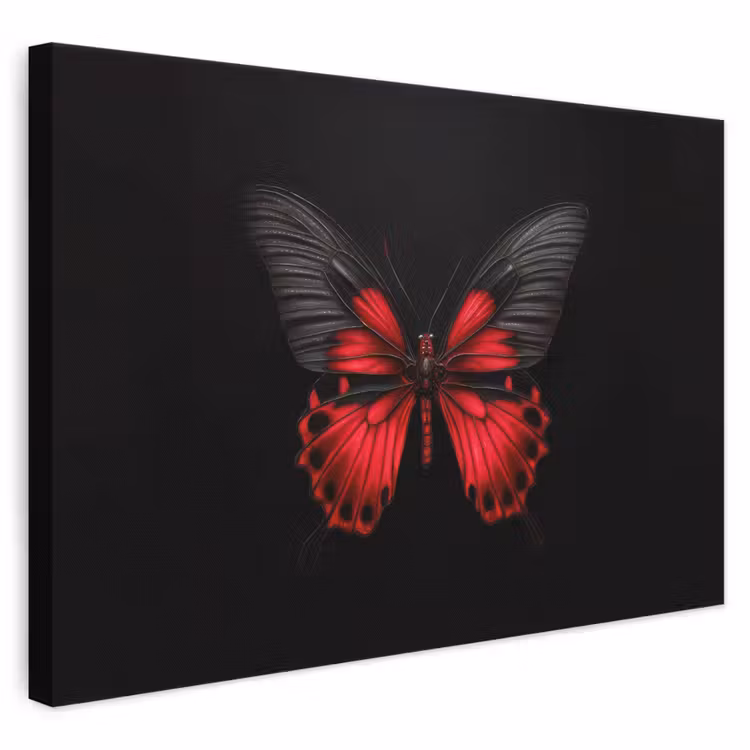 Canvas schilderij - Vlinder - Rood - Contrast — 1
