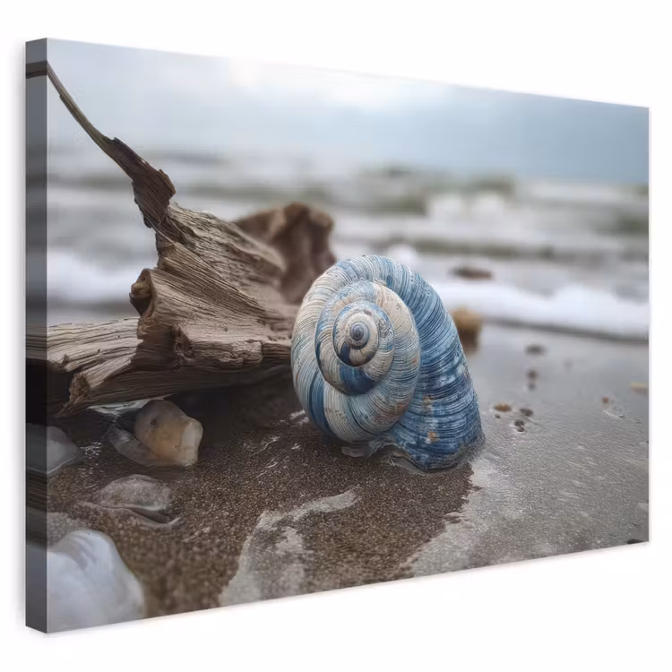 Canvas schilderij - Blauw Slakkenhuis op Strand — 1