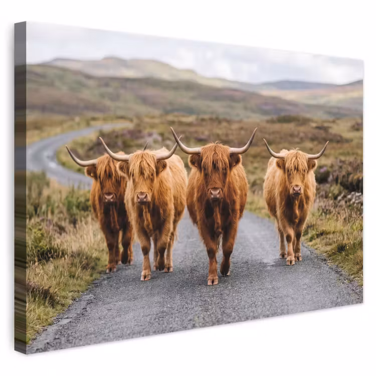 Canvas schilderij - Schotse Hooglanders - Weg - Landschap - Kudde