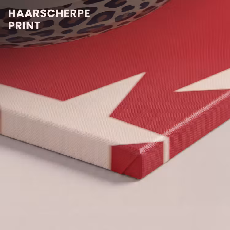 Canvas schilderij - Biljartbal Luipaard Patroon Sterren Rood — 5