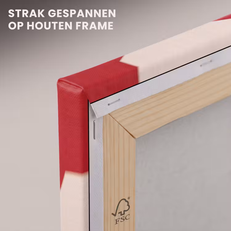 Canvas schilderij - Biljartbal Luipaard Patroon Sterren Rood — 7