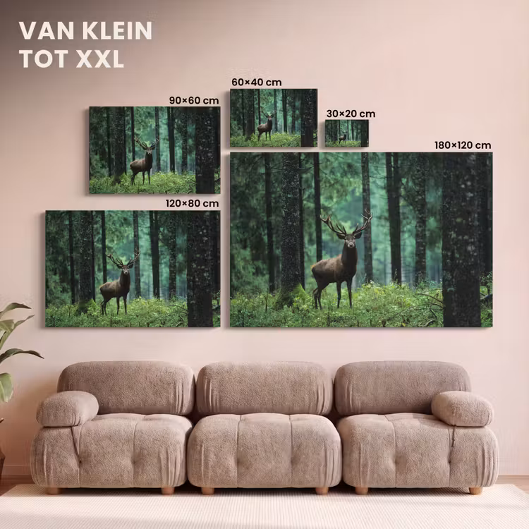 Canvas schilderij - Hert - Bos - Bomen - Dieren - Natuur — 8