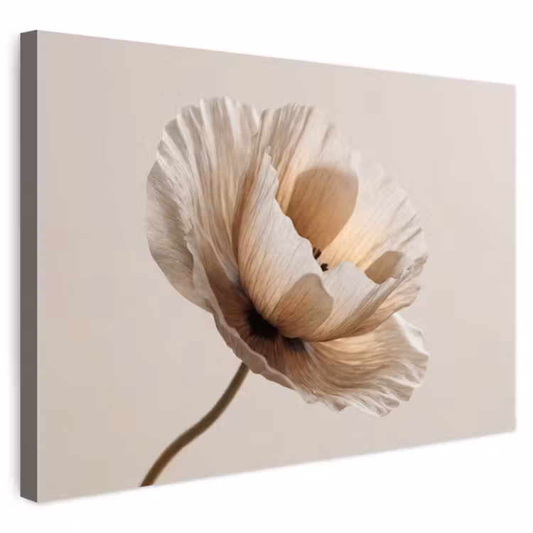 Buiten canvas - Bloem - Beige - Crème