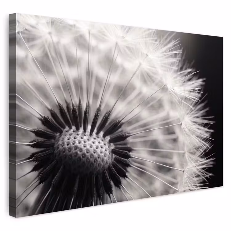 Buiten canvas - Paardenbloem - Zwart - Wit