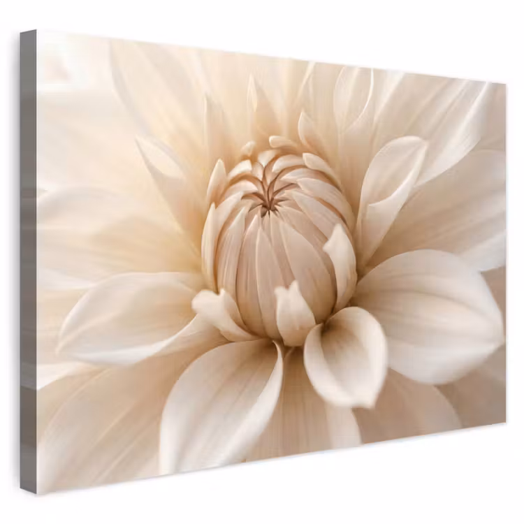 Buiten canvas - Bloem - Dahlia - Wit