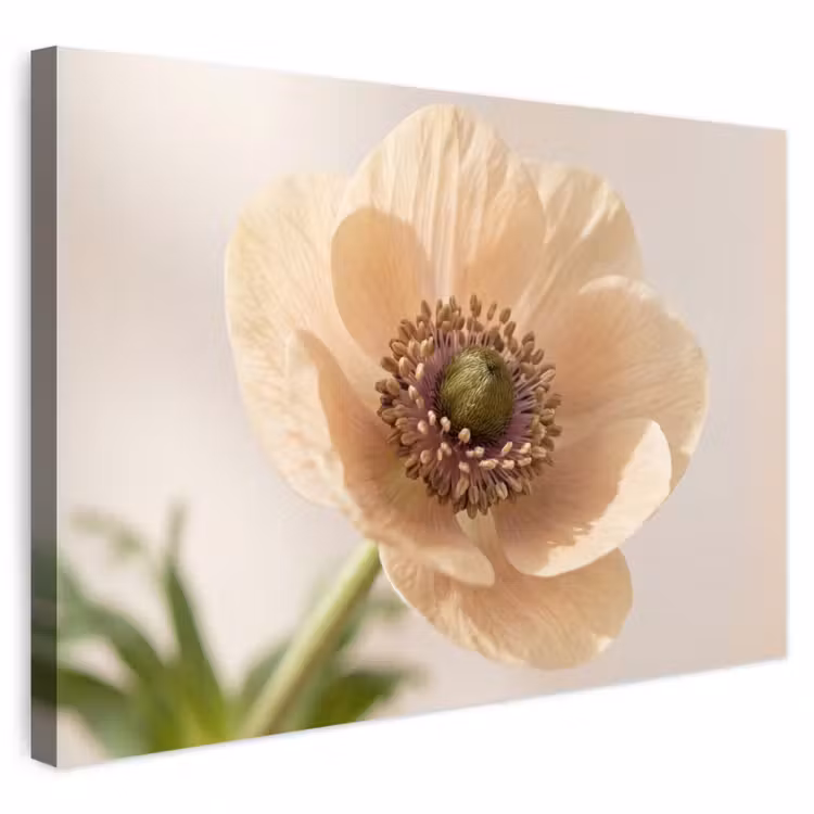 Buiten canvas - Bloem - Minimalistisch - Groen