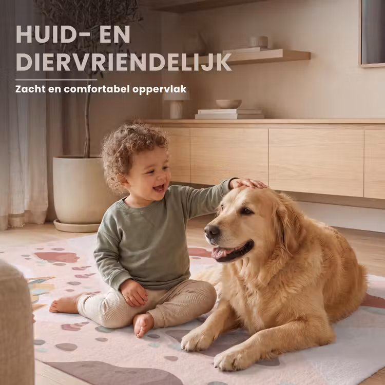 Vloerkleed - Bouwplaats - Voertuig - Illustratie — 6
