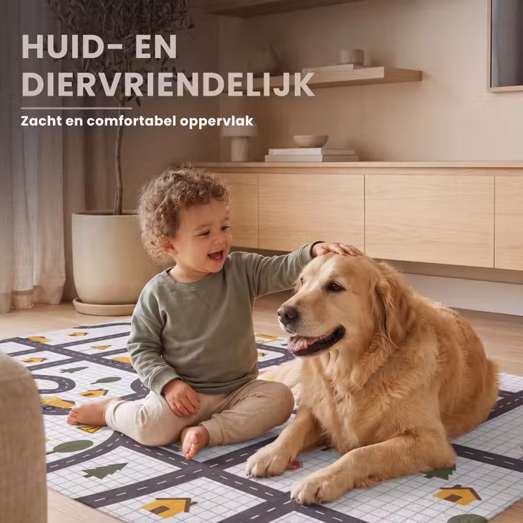 Vloerkleed - Weg - Voertuig - Illustratie — 6