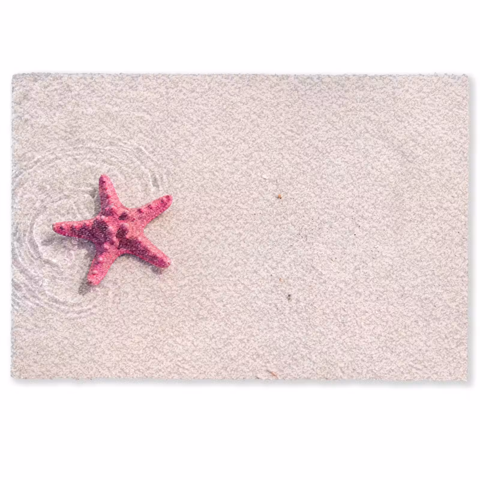 Deurmat - Zeeleven - Zeester - Strand - Roze - Water — 1