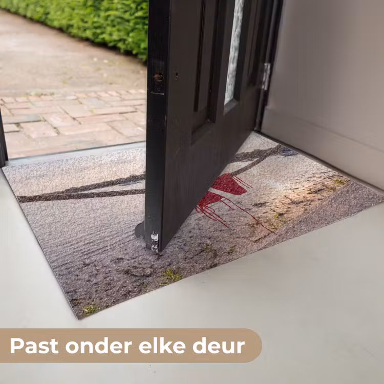 Deurmat - Badkleding - Rood - Zomer - Water - Zonsondergang — 7