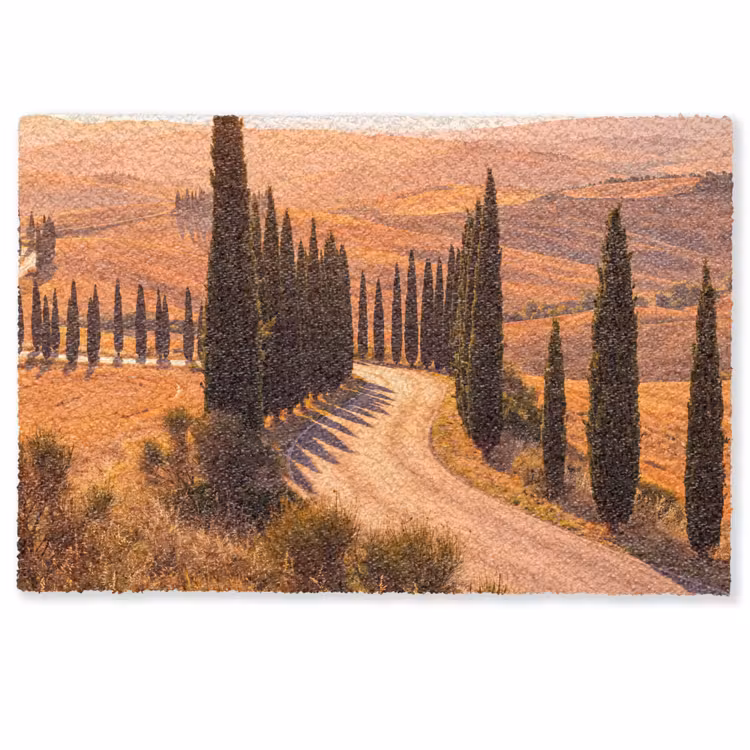Deurmat - Landschap - Weg - Bomen - Natuur - Goud — 1