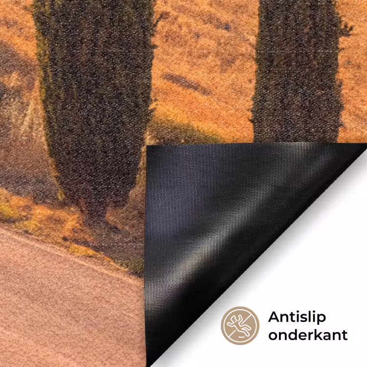 Deurmat - Landschap - Weg - Bomen - Natuur - Goud — 6