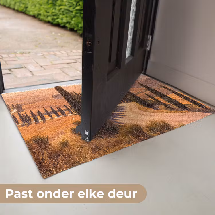 Deurmat - Landschap - Weg - Bomen - Natuur - Goud — 7