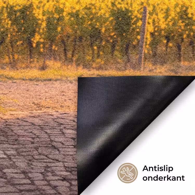 Deurmat - Poort - Landschap - Platteland - Zonlicht - Warm — 6