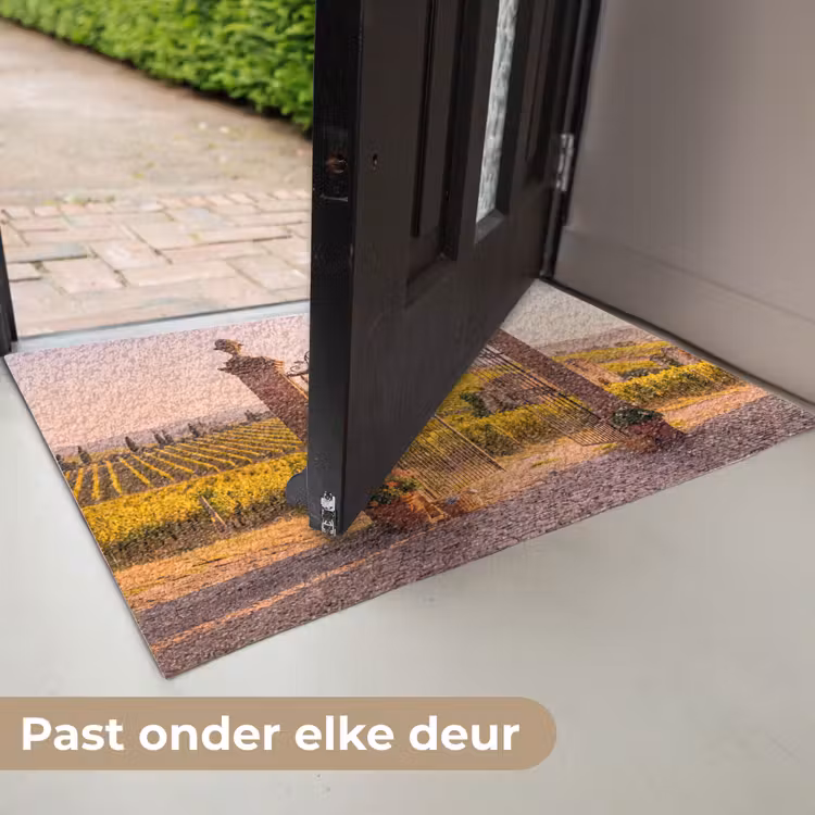 Deurmat - Poort - Landschap - Platteland - Zonlicht - Warm — 7