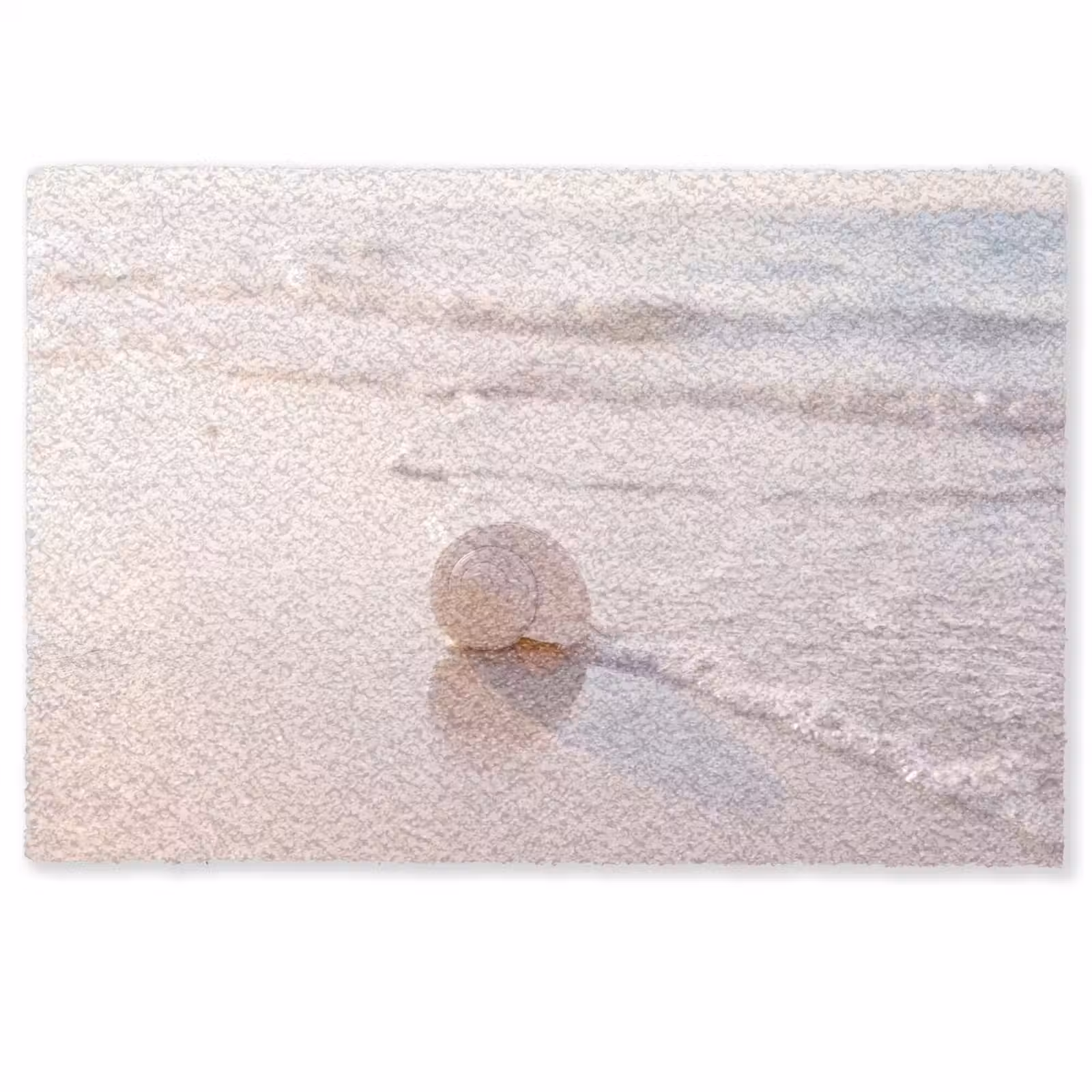 Deurmat - Zeeschelp - Strand - Zee - Natuur - Beige — 1