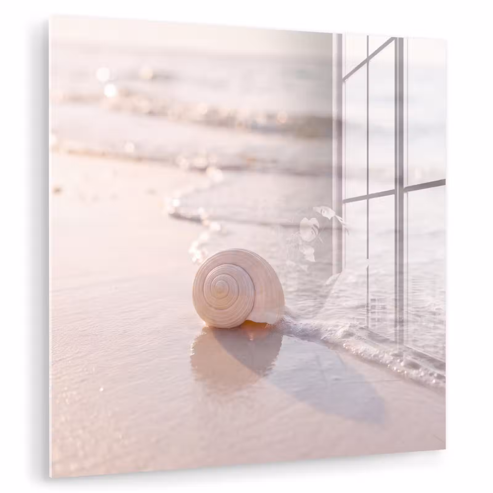 Glas schilderij - Zeeschelp - Strand - Zee - Natuur - Beige — 1