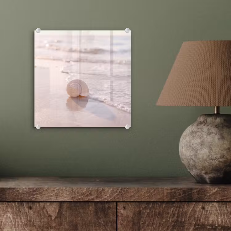 Glas schilderij - Zeeschelp - Strand - Zee - Natuur - Beige — 4