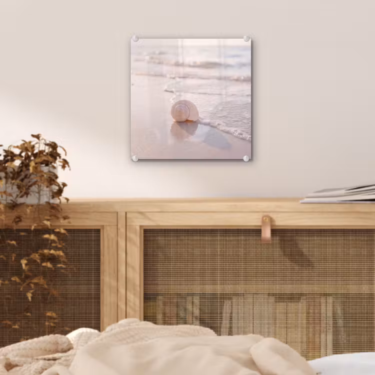 Glas schilderij - Zeeschelp - Strand - Zee - Natuur - Beige — 5