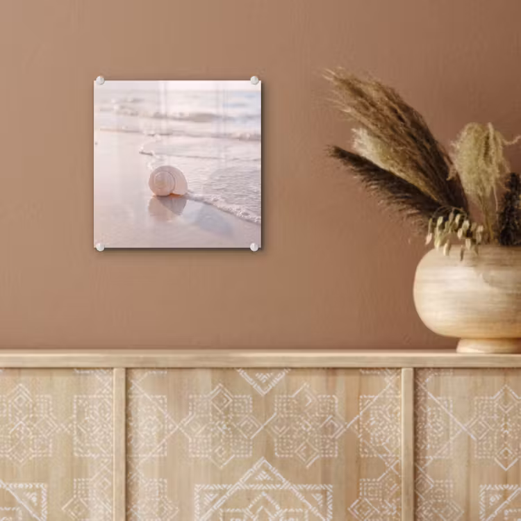 Glas schilderij - Zeeschelp - Strand - Zee - Natuur - Beige — 6