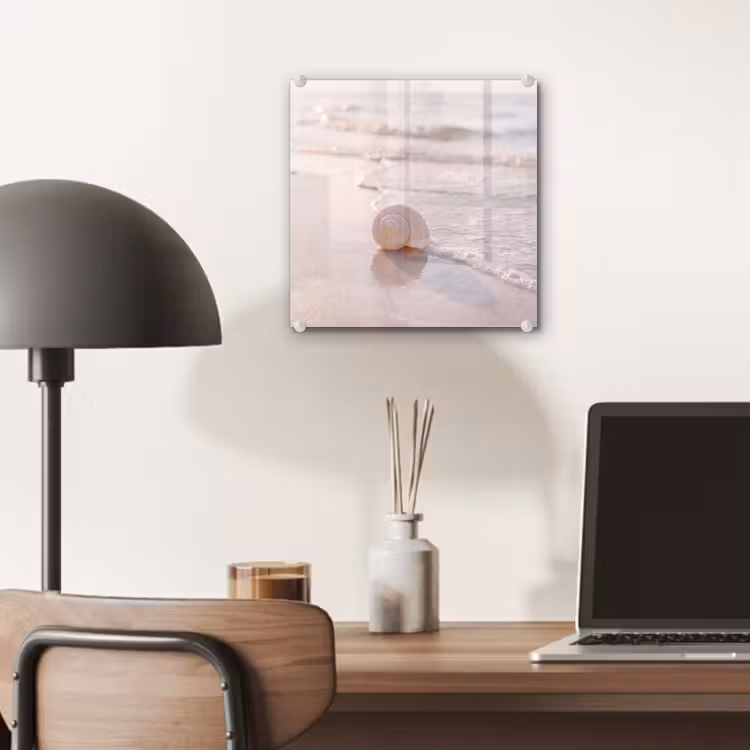 Glas schilderij - Zeeschelp - Strand - Zee - Natuur - Beige — 7