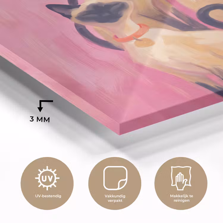 Glas schilderij - Kat - Groep - Dieren - Modern - Roze — 3
