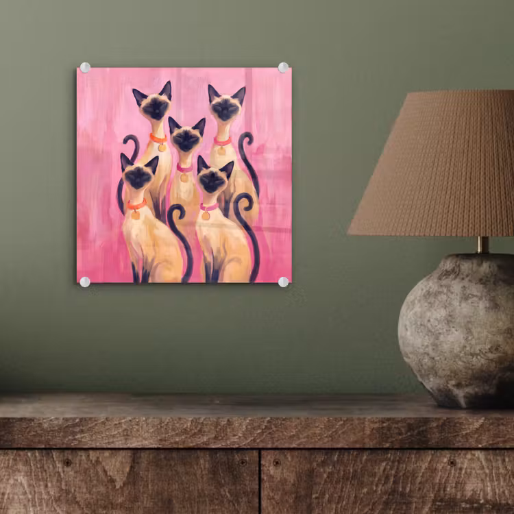 Glas schilderij - Kat - Groep - Dieren - Modern - Roze — 4