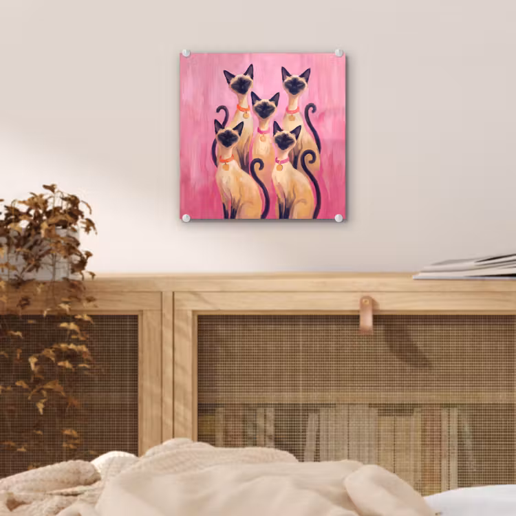 Glas schilderij - Kat - Groep - Dieren - Modern - Roze — 5