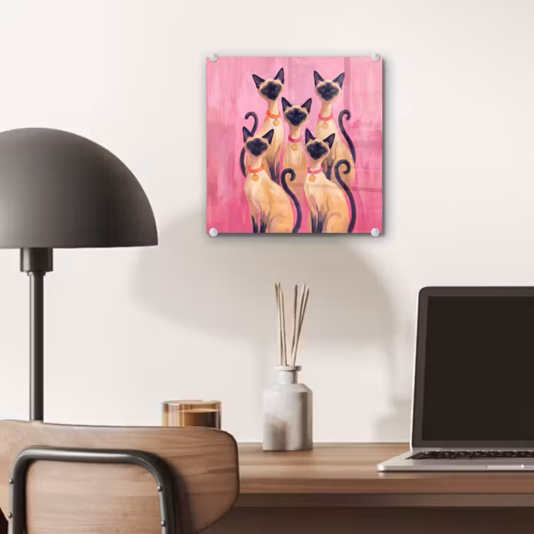 Glas schilderij - Kat - Groep - Dieren - Modern - Roze — 7