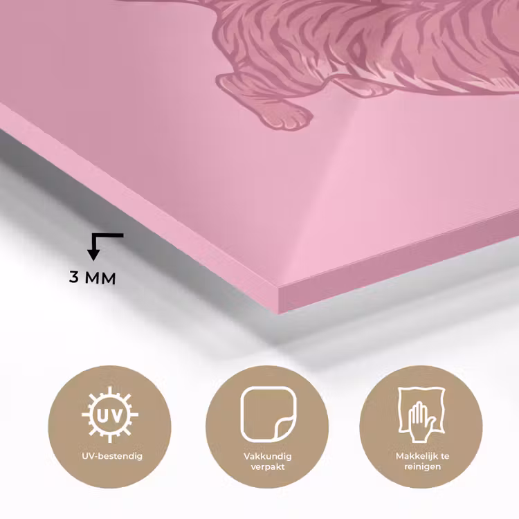 Glas schilderij - Kat - Springend - Dieren - Roze - Modern — 3