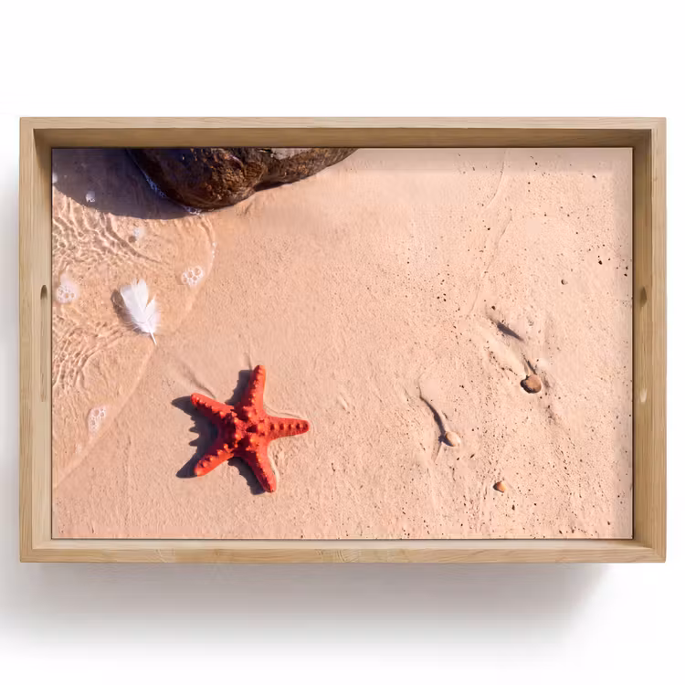 Dienblad - Dieren - Strand - Zee - Natuur - Rood — 1