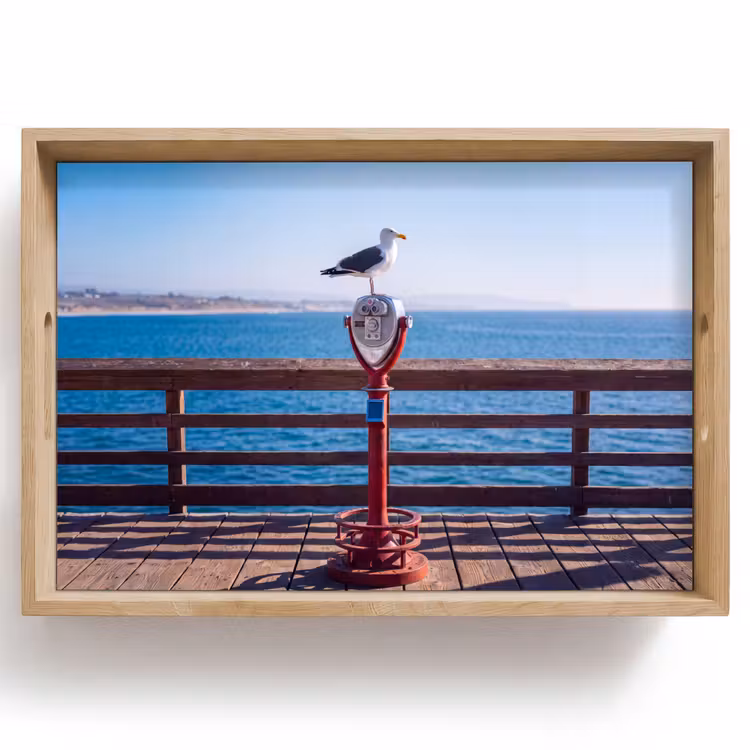 Dienblad - Vogel - Verrekijker - Kust - Zee - Blauw — 1