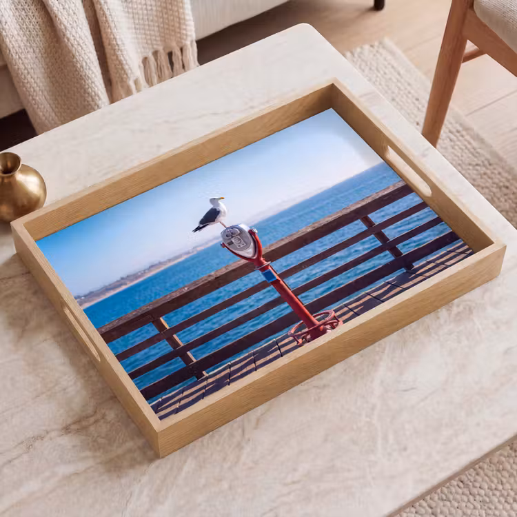 Dienblad - Vogel - Verrekijker - Kust - Zee - Blauw — 2