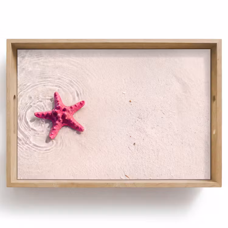Dienblad - Zeeleven - Zeester - Strand - Roze - Water — 1