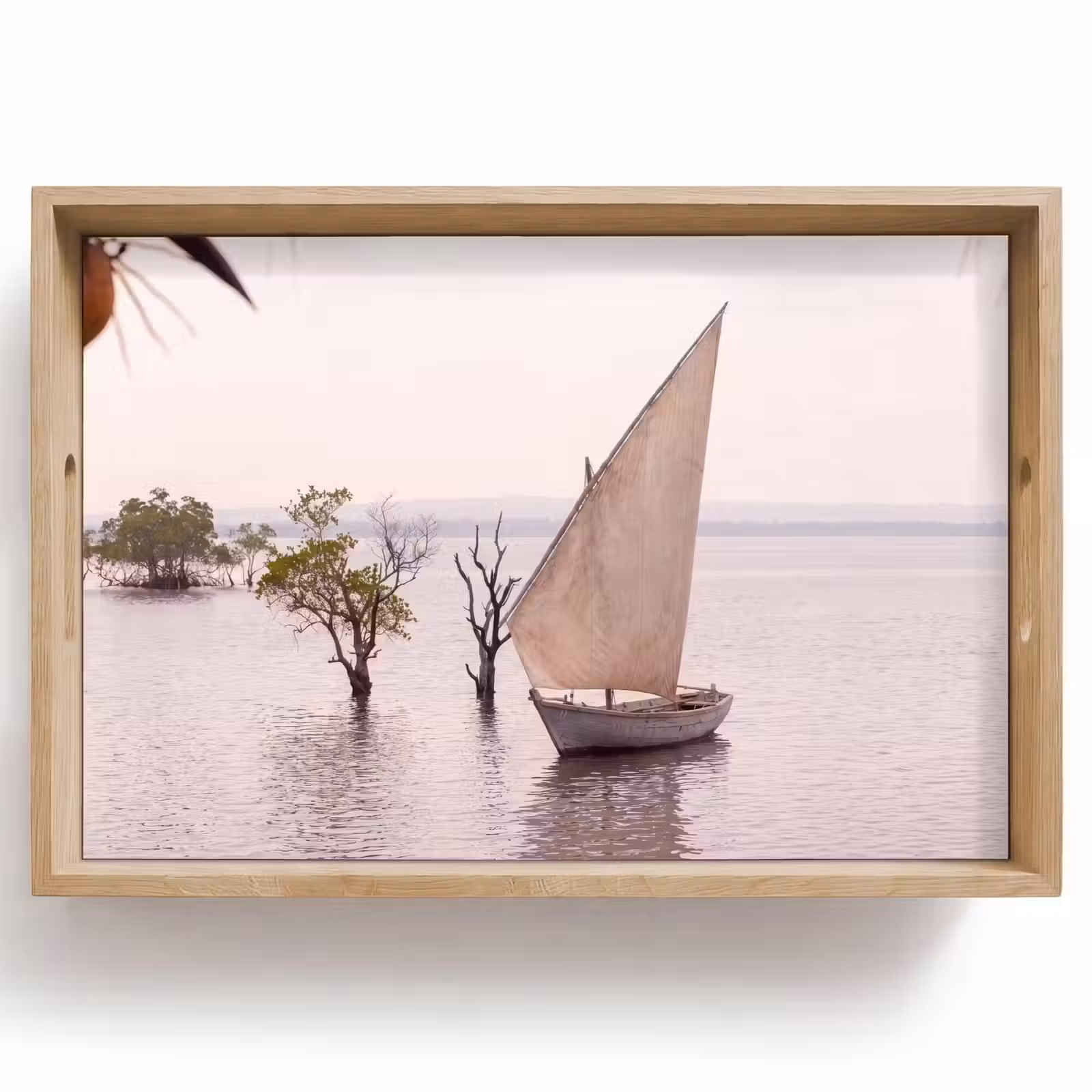 Dienblad - Boot - Zeil - Water - Tropisch - Natuur — 1
