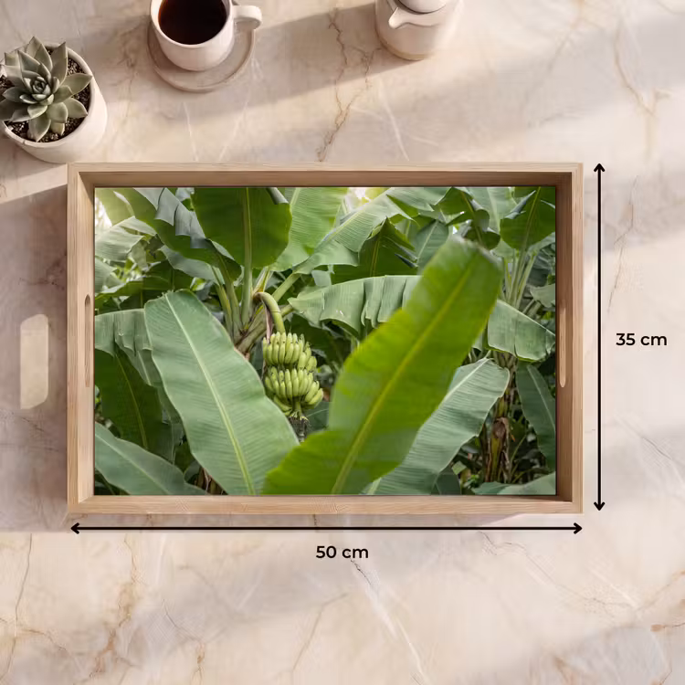 Dienblad - Eten - Bananen - Plantage - Groen — 9