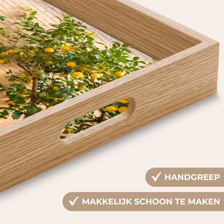 Dienblad - Fiets - Mand - Eten - Geel - Zomer — 5
