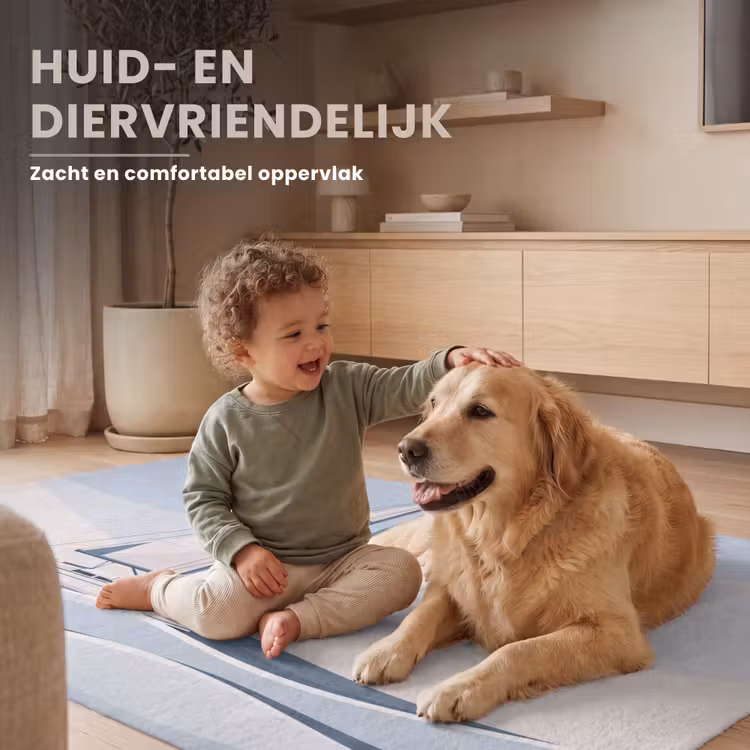 Vloerkleed - Boot - Zeil - Zee - Modern - Beige — 6