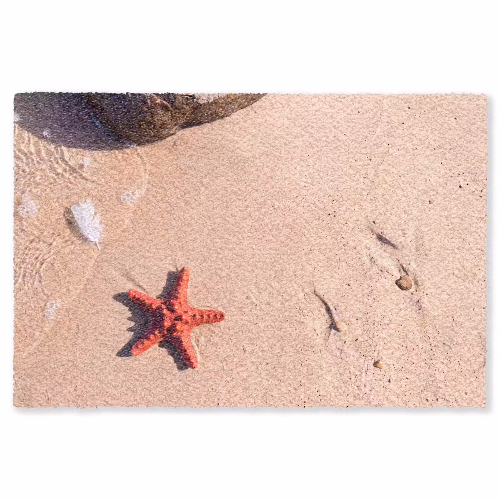 Vloerkleed - Dieren - Strand - Zee - Natuur - Rood — 1