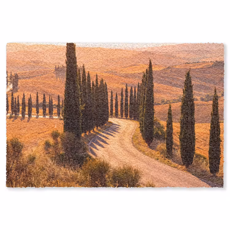 Vloerkleed - Landschap - Weg - Bomen - Natuur - Goud — 1