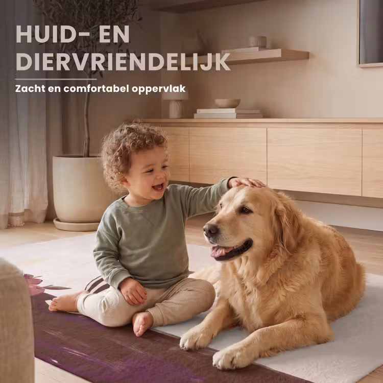 Vloerkleed - Eten - Schaal - Stilleven - Modern - Rood — 6