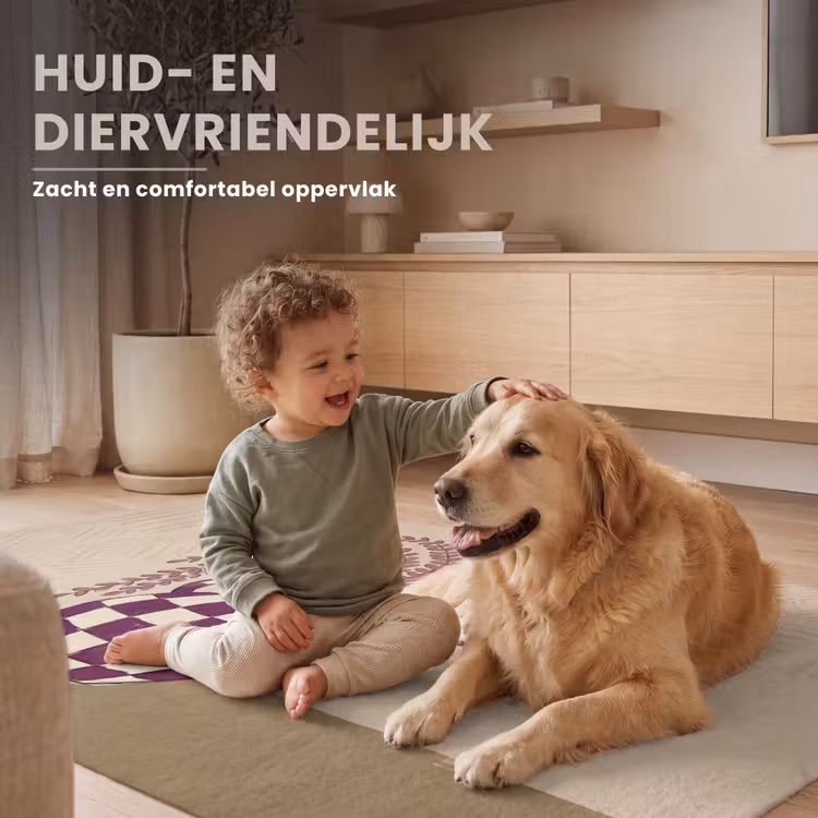 Vloerkleed - Vaas - Geruit - Planten - Modern - Paars — 6
