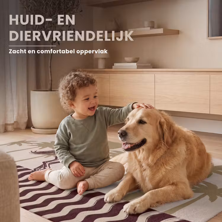 Vloerkleed - Paard - Galopperend - Woestijn - Illustratie — 6