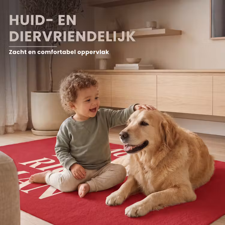 Vloerkleed - Tekst - Rijkdom - Motivatie - Rood - Modern — 6