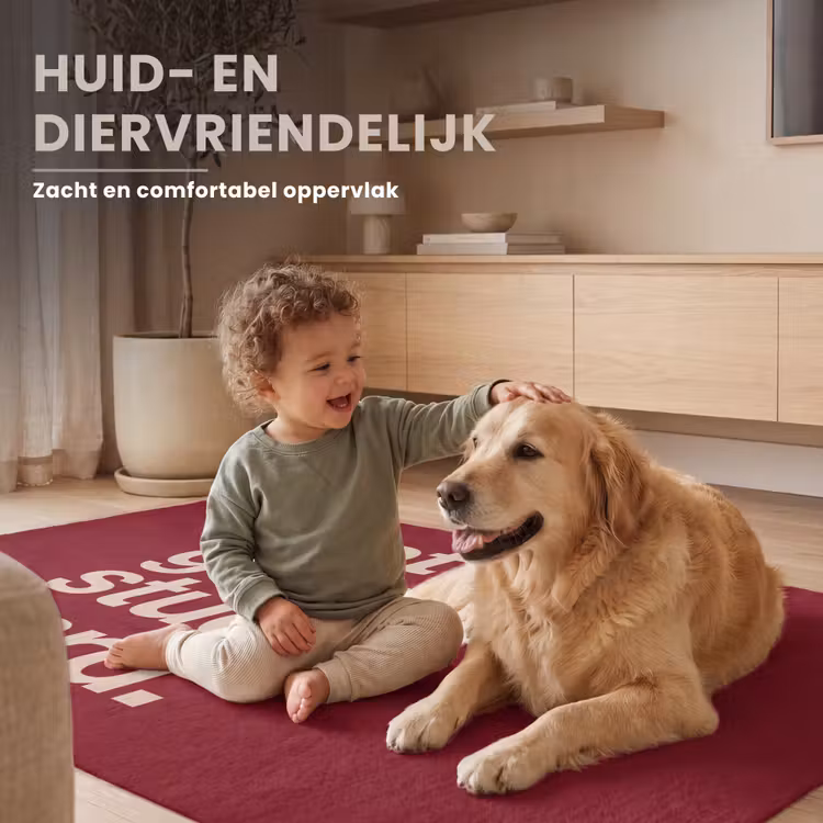 Vloerkleed - Tekst - Studie - Motivatie - Modern - Rood — 6