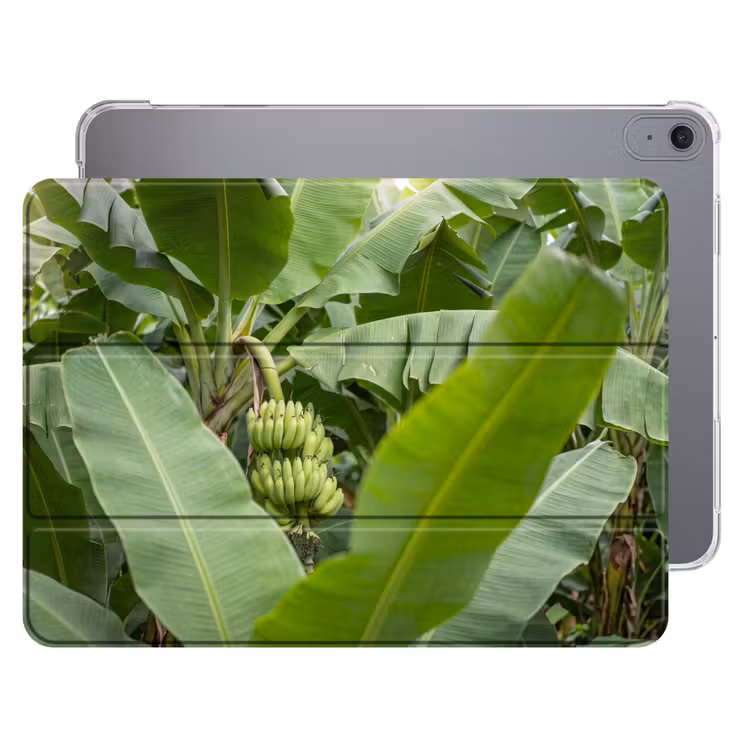 iPad hoes - Eten - Bananen - Plantage - Groen — 1