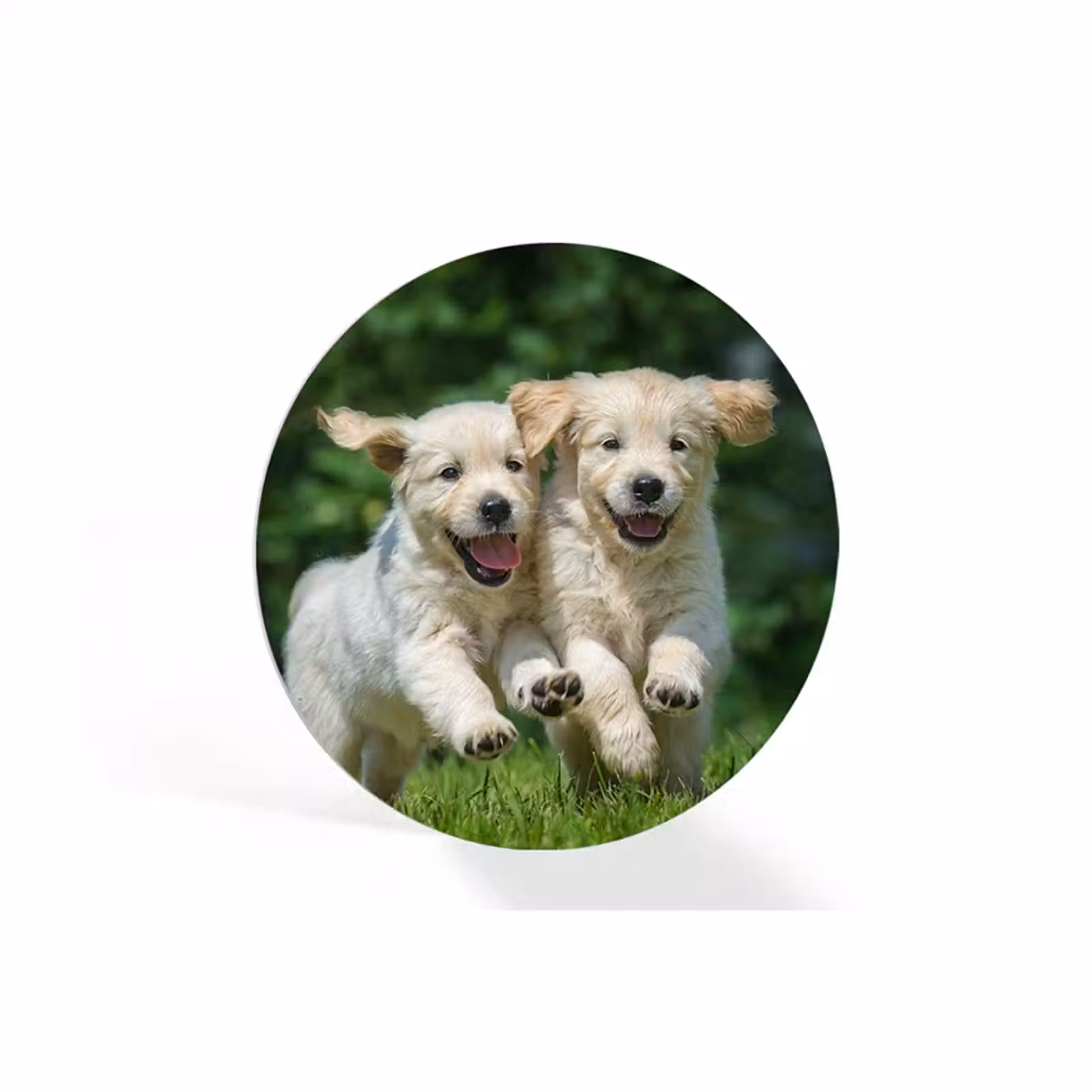 Foto op forex rond — 1