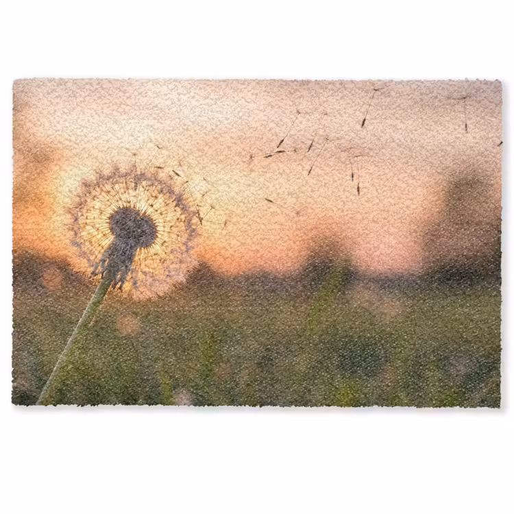 Deurmat - Paardenbloem - Zonsondergang - Veld